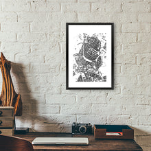 Load image into Gallery viewer, Olivenza